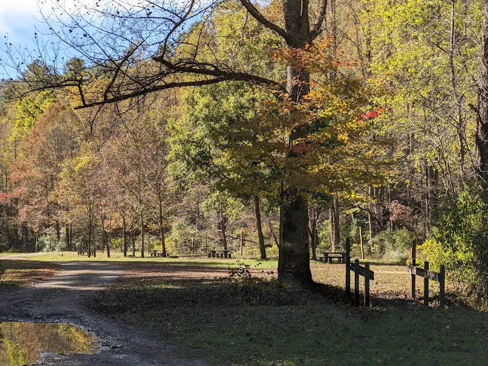 Bristol Fields Horse Camp Picture 3