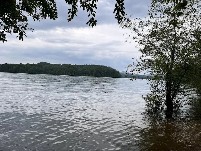 Jackrabbit Recreation Area, Tusquitee Ranger District, Nantahala National Forest Picture 2