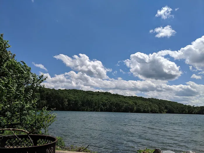 Jackrabbit Recreation Area, Tusquitee Ranger District, Nantahala National Forest Picture 4