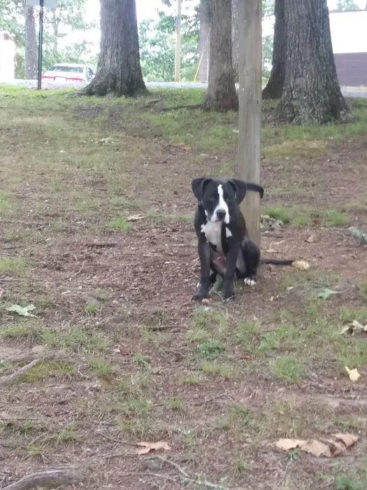 Clay County Park Campground Picture 10