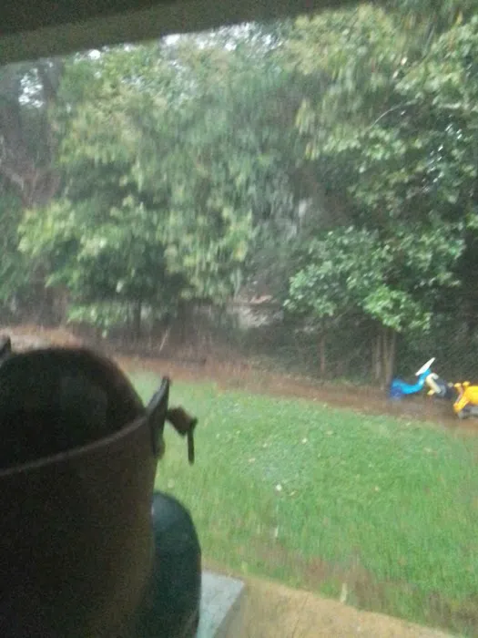 Hiawassee Camping Picture 1