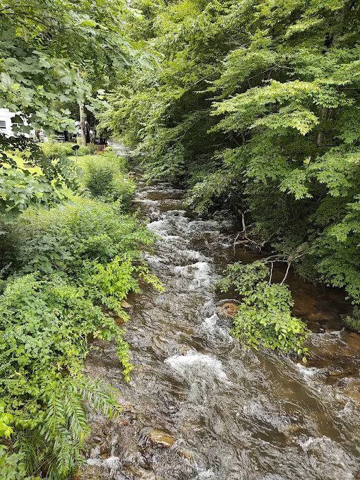 Tumbling Waters Campground and Trout Pond Picture 6