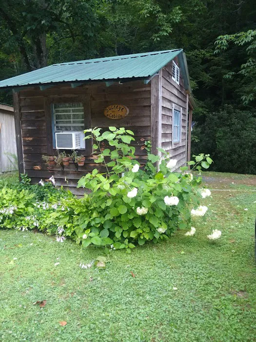 Tumbling Waters Campground and Trout Pond Picture 4