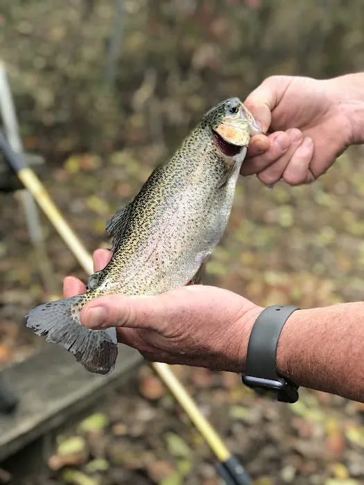 Tumbling Waters Campground and Trout Pond Picture 8
