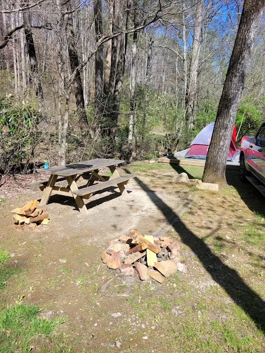 Turkey Creek Campground Picture 2