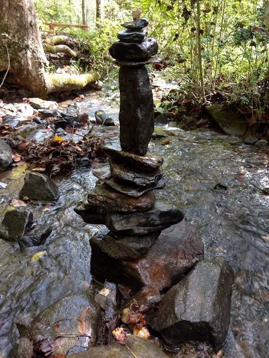 Turkey Creek Campground Picture 7