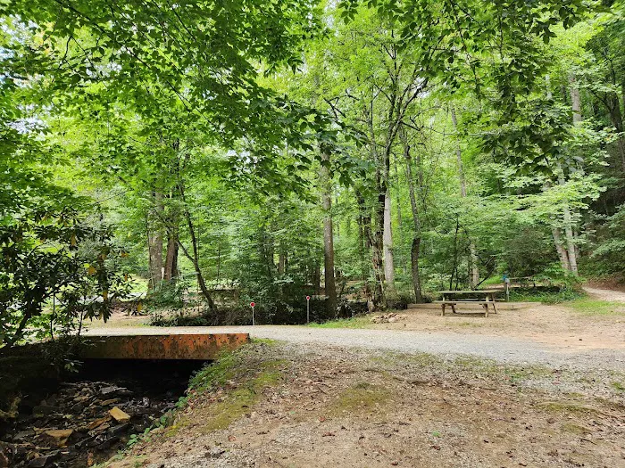 Turkey Creek Campground Picture 9