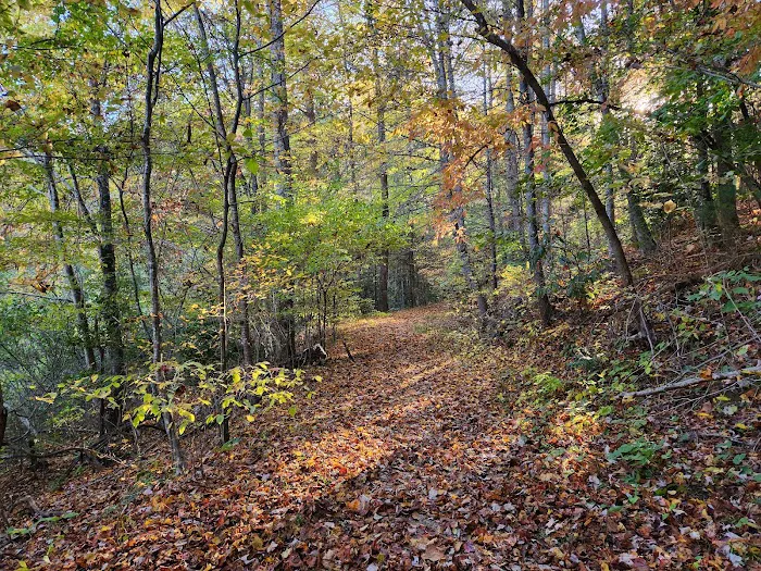 Turkey Creek Campground Picture 8