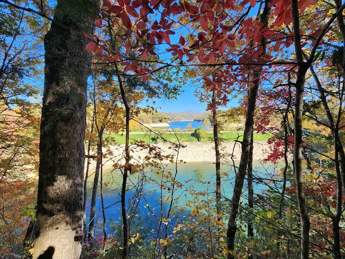 Turkey Creek Campground Picture 10