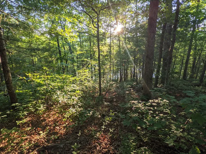 Tsali Campground, US Forest Service, Cheoah Ranger District Picture 7