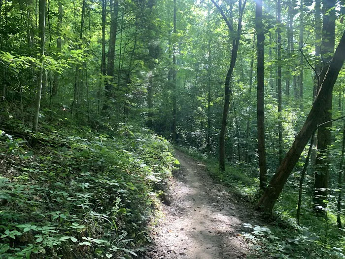 Tsali Campground, US Forest Service, Cheoah Ranger District Picture 6