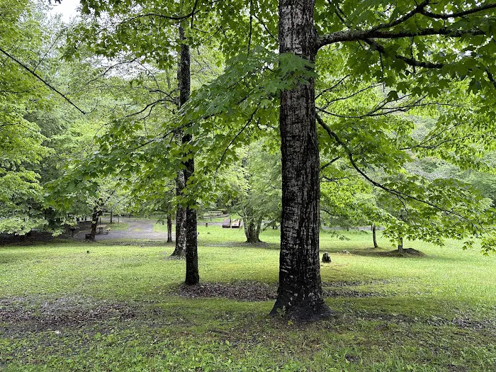 Tsali Campground, US Forest Service, Cheoah Ranger District Picture 5