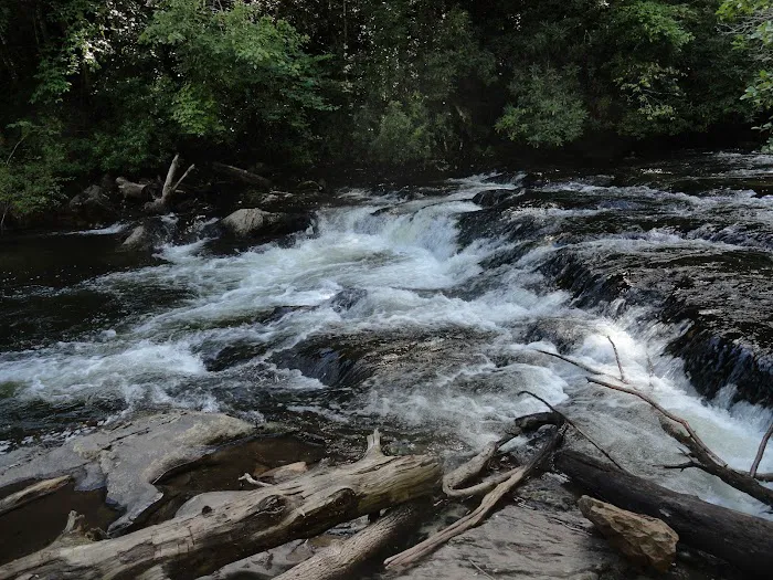 Backcountry Campsite #66 Picture 2