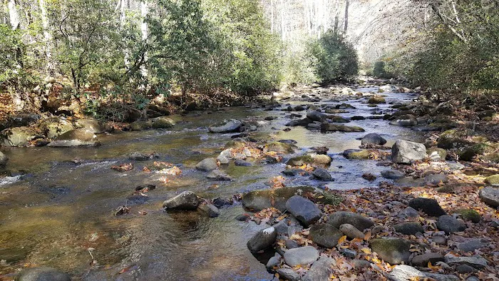 Backcountry Campsite #66 Picture 4