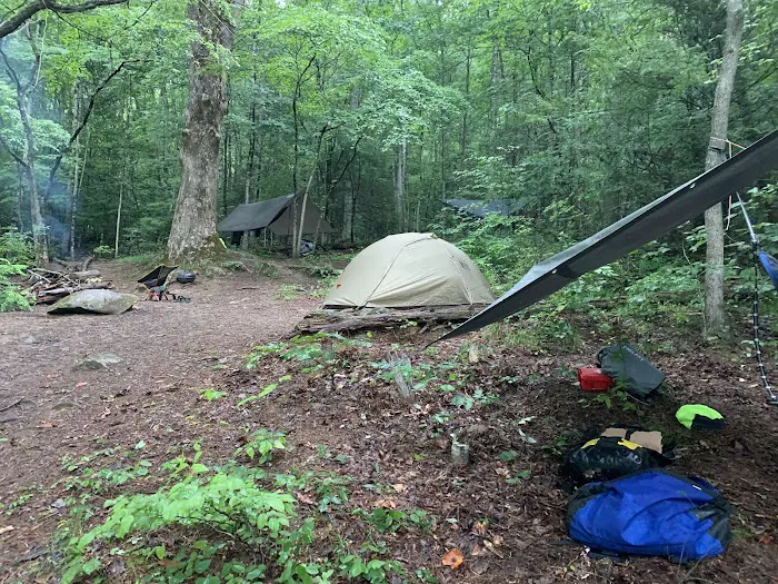 Backcountry Campsite #66 Picture 7