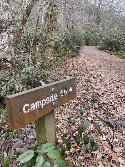 Backcountry Campsite #66 Picture 6