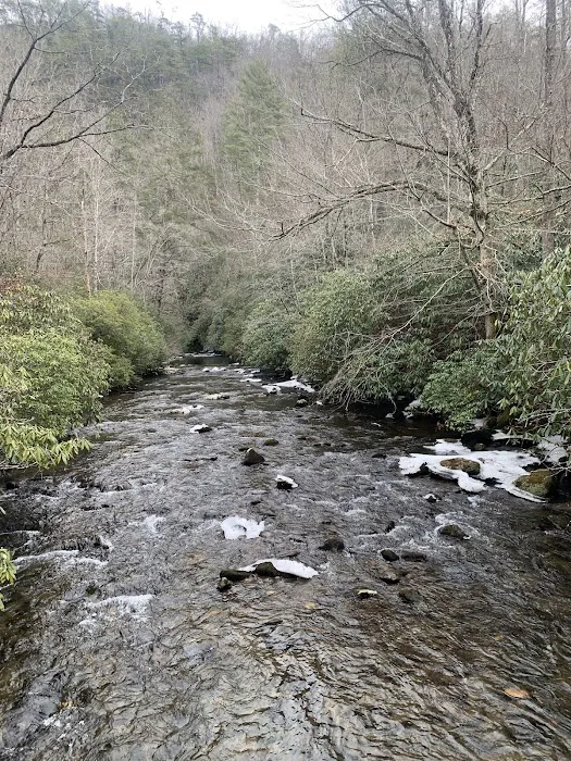 Backcountry Campsite #66 Picture 9