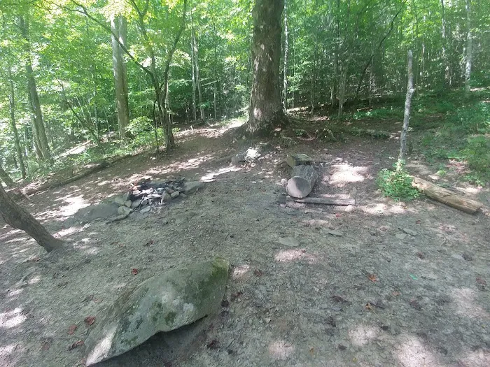 Backcountry Campsite #66 Picture 8