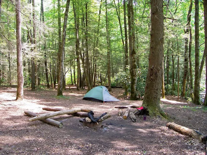 Backcountry Camp 60 Picture 1