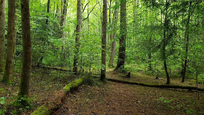 Backcountry Camp 60 Picture 2