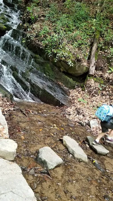 Backcountry Camp 60 Picture 4