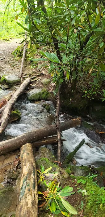 Backcountry Camp 60 Picture 6