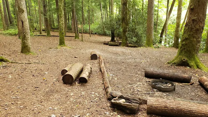 Backcountry Camp 60 Picture 9