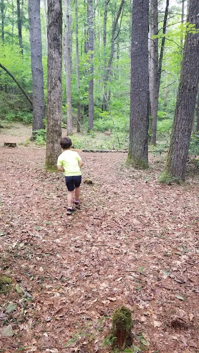 Backcountry Camp 60 Picture 8