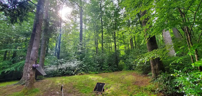 Backcountry Camp 55 Picture 5