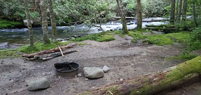 Backcountry Campsite #56 Picture 1