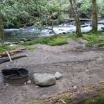 Backcountry Campsite #56