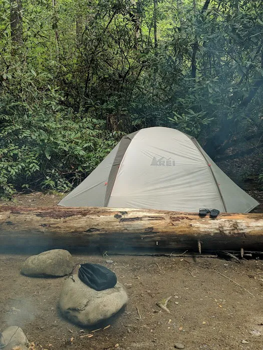 Backcountry Campsite #56 Picture 6