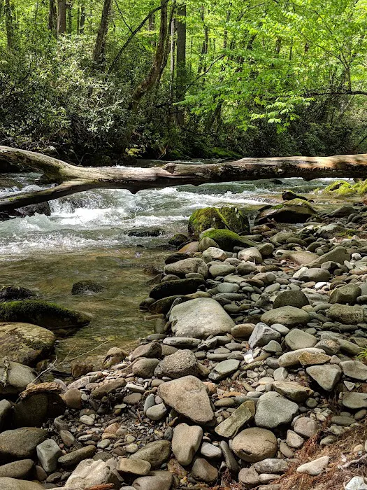 Backcountry Campsite #56 Picture 5