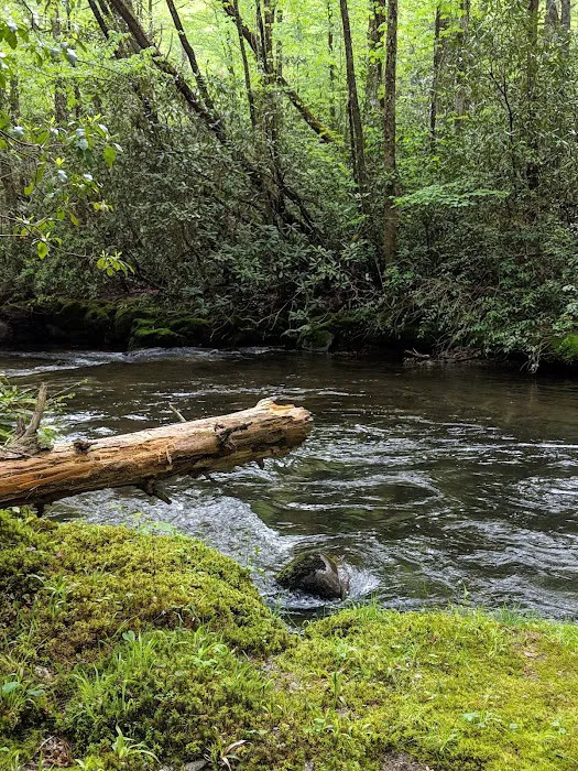 Backcountry Campsite #56 Picture 4