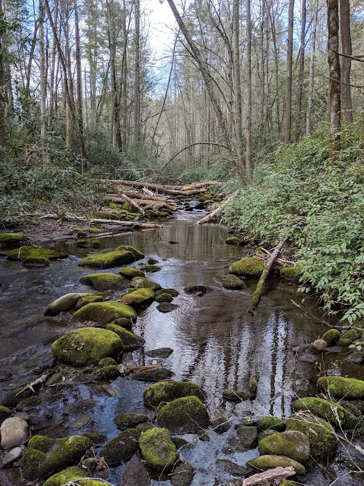 Backcountry Camp 57 Picture 3