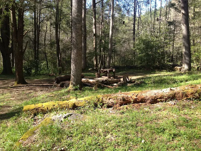 Backcountry Camp 57 Picture 2