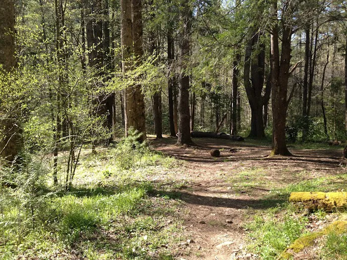 Backcountry Camp 57 Picture 5