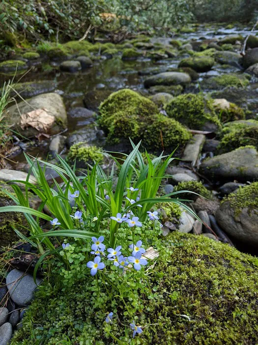 Backcountry Camp 57 Picture 7