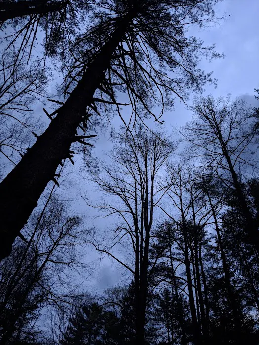 Backcountry Camp 57 Picture 8