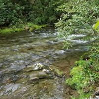 Backcountry Camp 58 ico