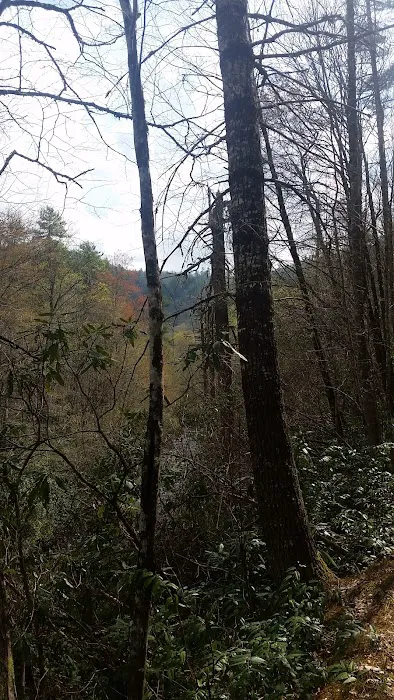 Backcountry Camp 58 Picture 4