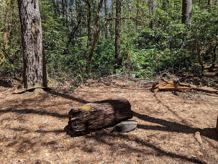 Backcountry Camp 59 Picture 3