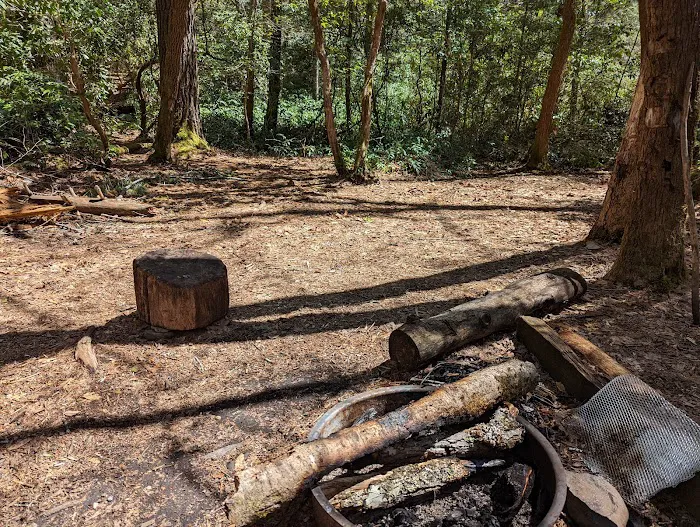 Backcountry Camp 59 Picture 2