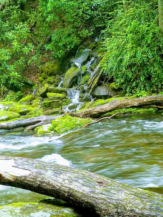 Backcountry Camp 59 Picture 1