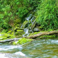 Backcountry Camp 59 ico