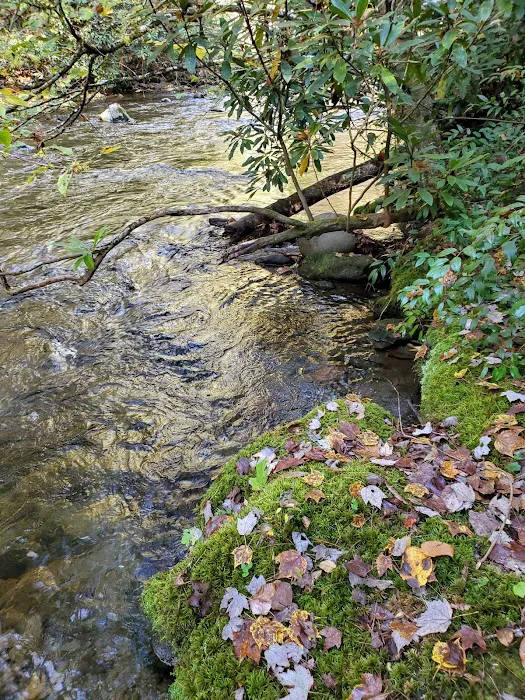 Backcountry Camp 59 Picture 4