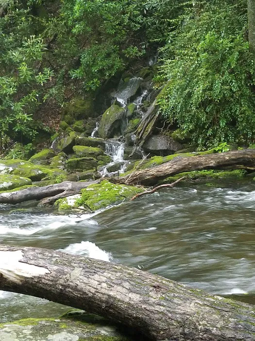 Backcountry Camp 59 Picture 10