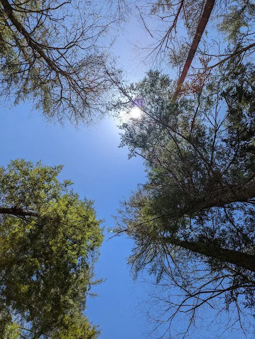 Backcountry Camp 59 Picture 9