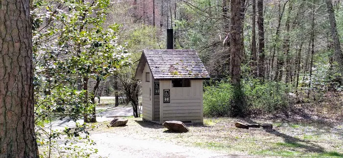 Huskins Branch Campground Picture 1