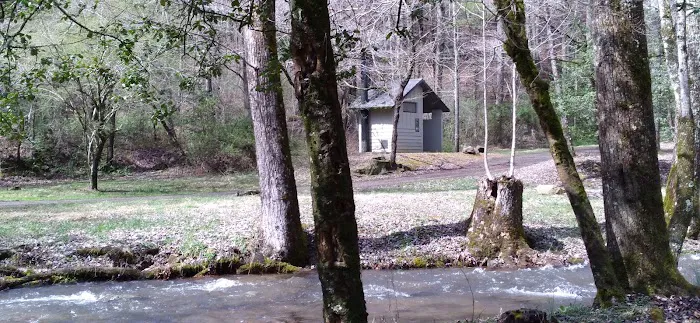 Huskins Branch Campground Picture 3